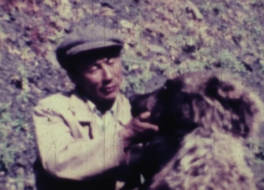 Image: Sněžný muž na černém asfaltu